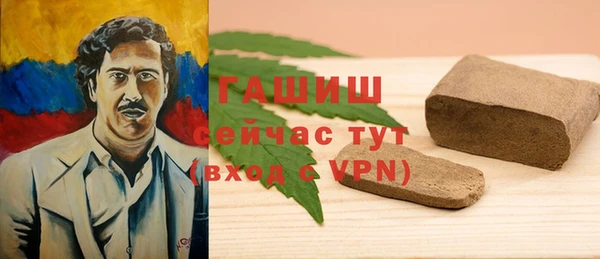 ECSTASY Богданович