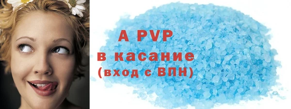 PSILOCYBIN Богородицк