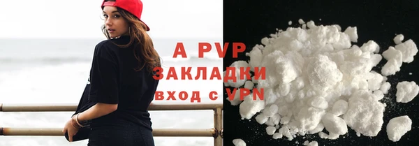 ECSTASY Богданович