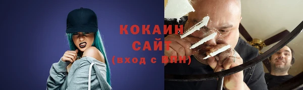 ECSTASY Богданович