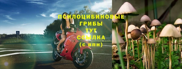 ECSTASY Богданович