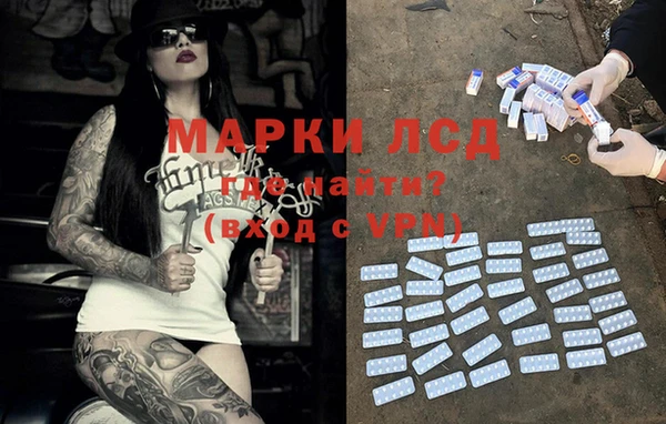 PSILOCYBIN Богородицк